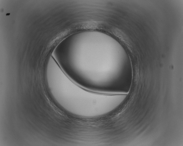 X0000081480681200701121042