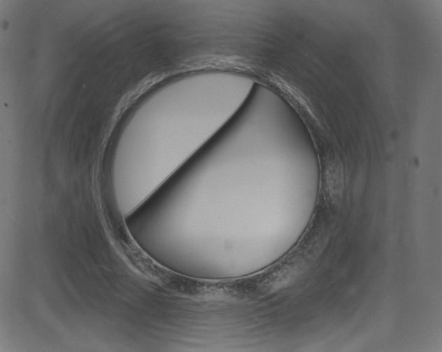 X0000081480682200701121042