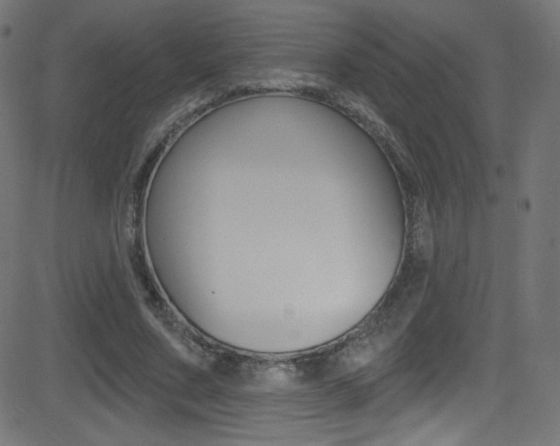 X0000081480683200701121042