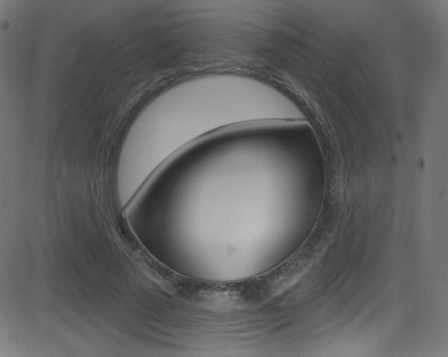 X0000081480689200701121042