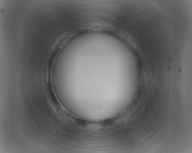 X0000081480694200701121042