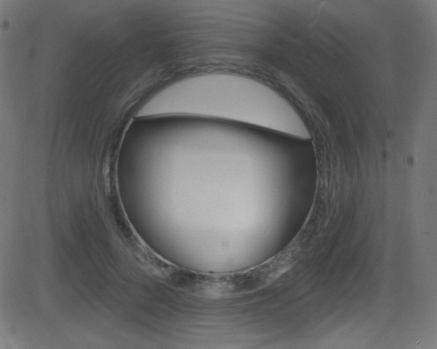 X0000081480696200701121042
