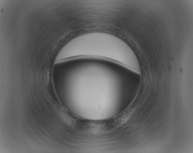 X0000081480697200701121042