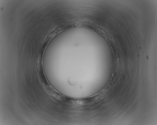 X0000081480698200701121042