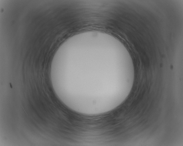 X0000081480701200701121041