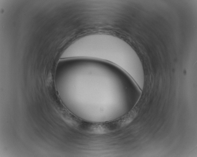 X0000081480704200701121041