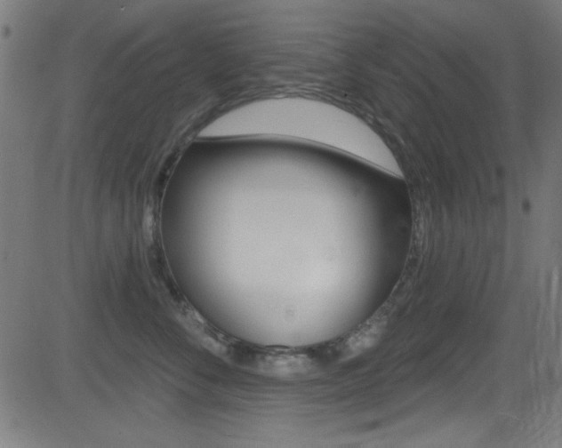 X0000081480716200701121041