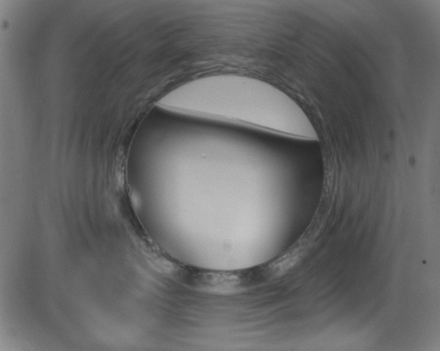 X0000081480719200701121041