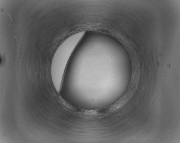 X0000081480720200701121041