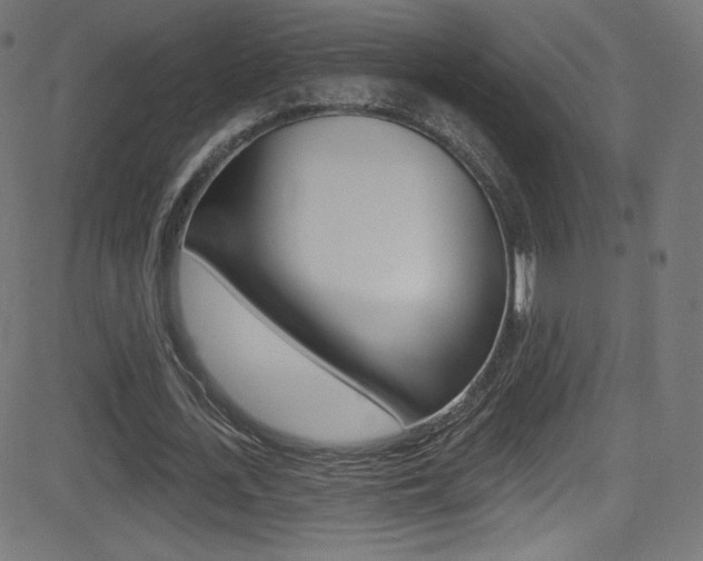 X0000081480723200701121040
