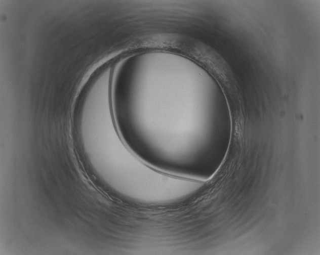 X0000081480724200701121040