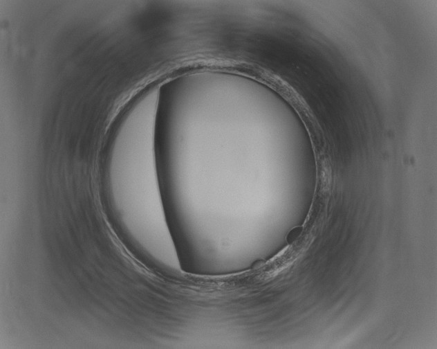 X0000081480725200701121040