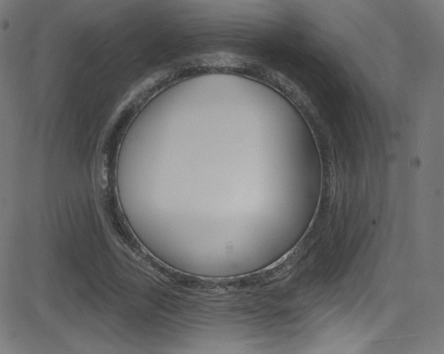 X0000081480731200701121041