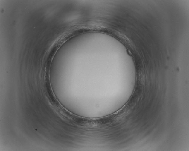 X0000081480735200701121041
