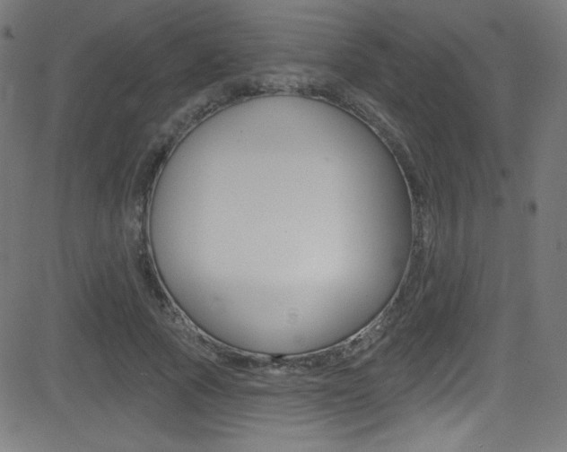 X0000081480737200701121041