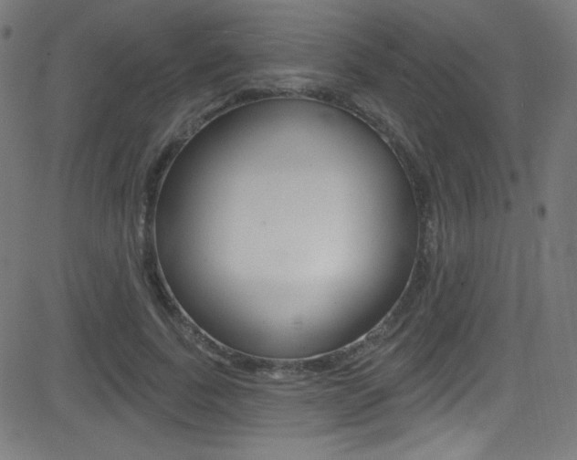 X0000081480739200701121041