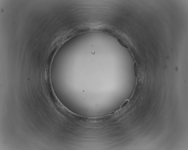 X0000081480740200701121041