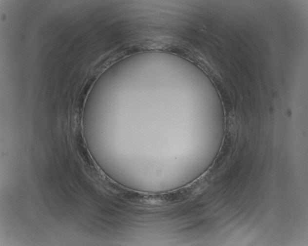 X0000081480741200701121041