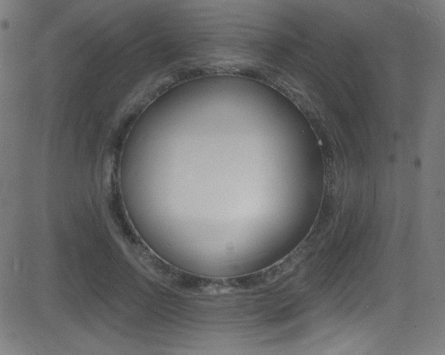 X0000081480742200701121041