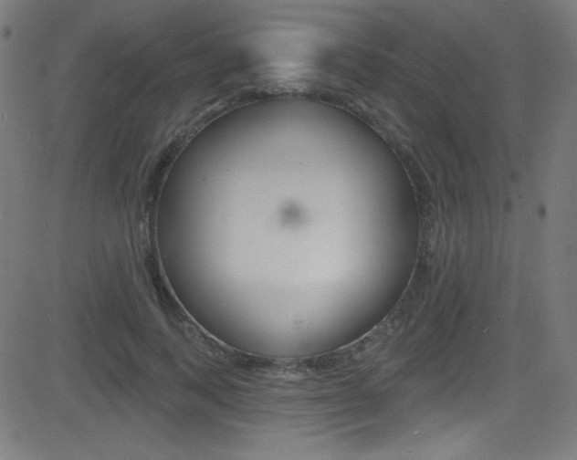 X0000081480743200701121041