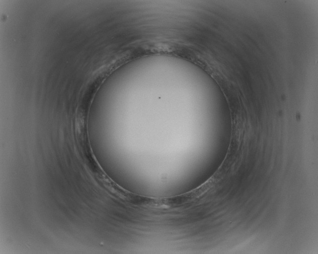 X0000081480747200701121041