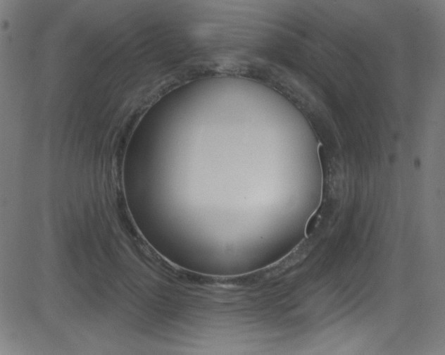 X0000081480748200701121041