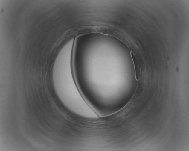 X0000081480750200701121041