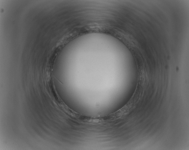 X0000081480751200701121041