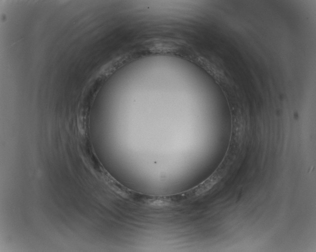 X0000081480755200701121041