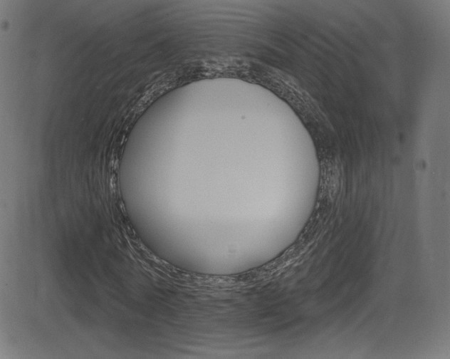 X0000081480770200701121040