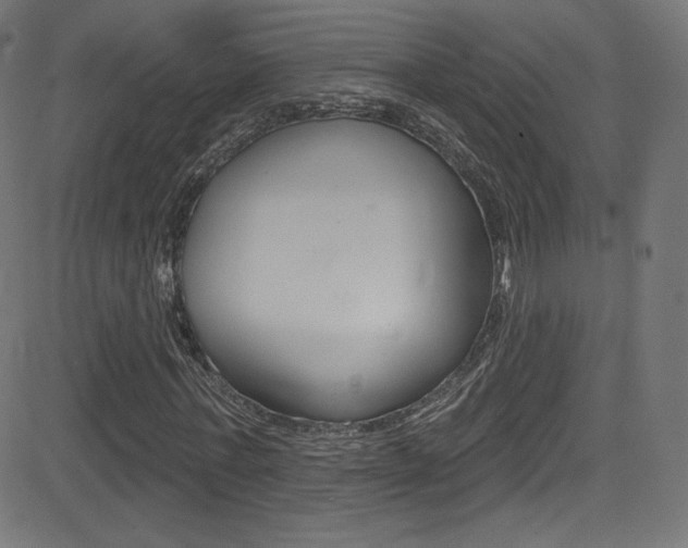 X0000081480771200701121040