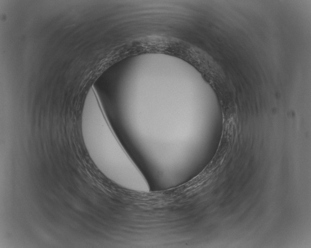 X0000081480772200701121040