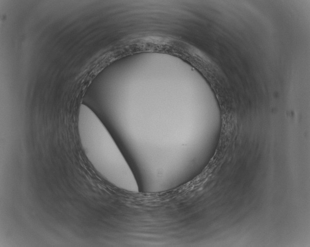 X0000081480774200701121040