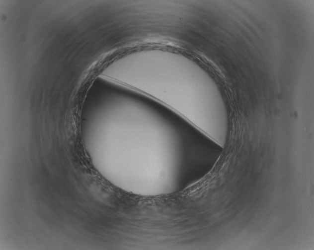 X0000081480776200701121040