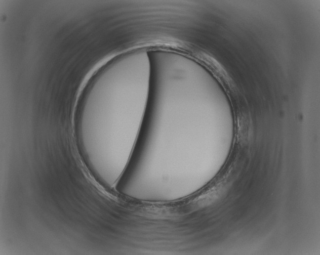 X0000081480780200701121040