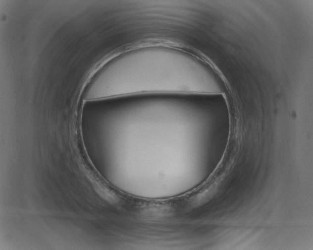 X0000081480786200701121040