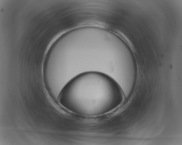 X0000081480788200701121040