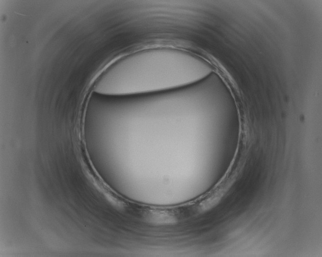 X0000081480794200701121040