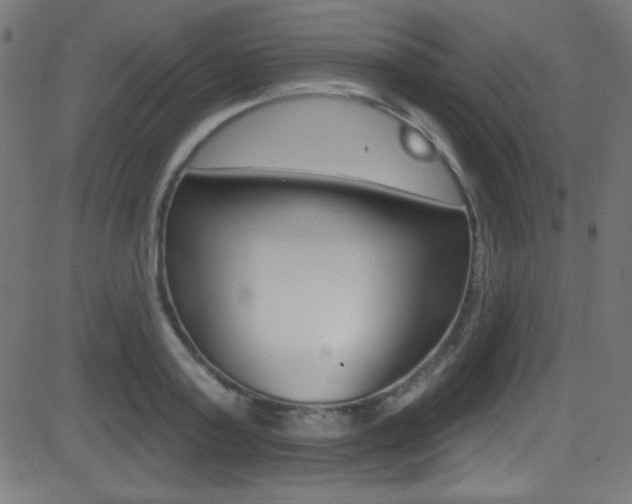 X0000081480795200701121040