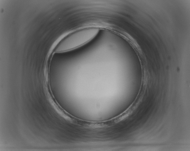 X0000081480796200701121040