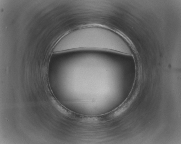 X0000081480801200701121040