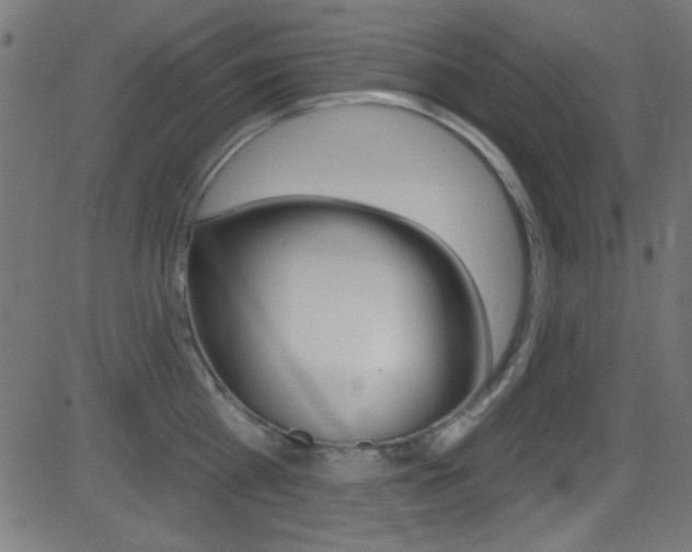 X0000081480809200701121040