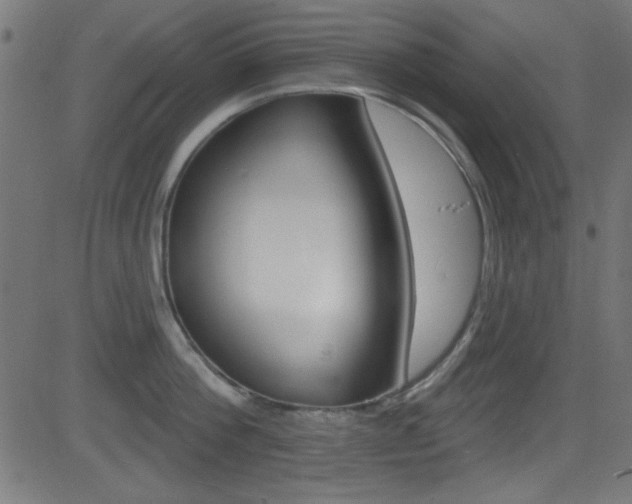 X0000081480812200701121040