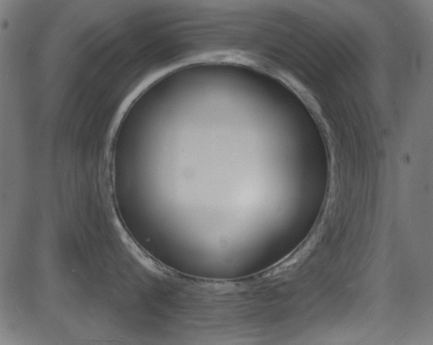 X0000081480816200701121040