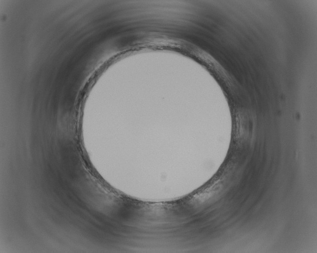 X0000081480828200701121039