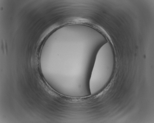 X0000081480835200701121039