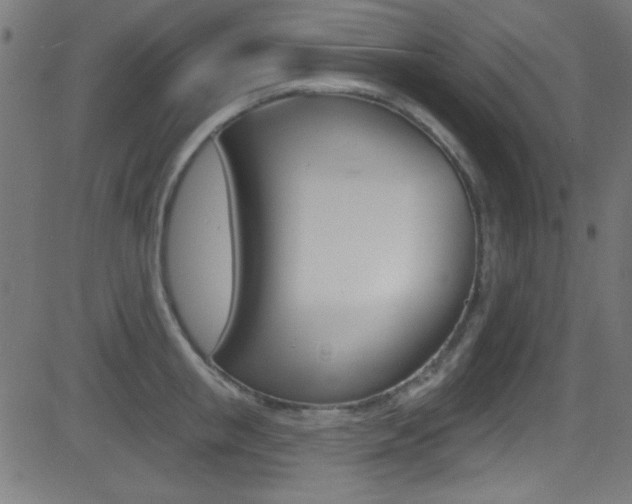 X0000081480853200701121039