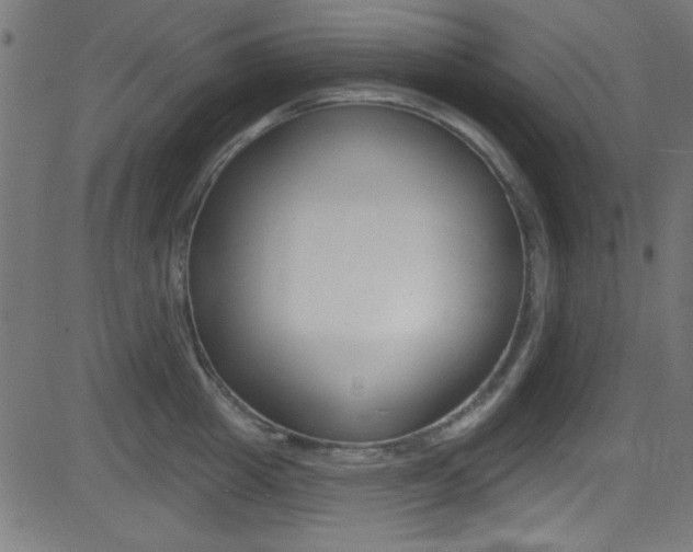 X0000081480857200701121039