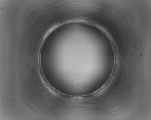 X0000081480858200701121039