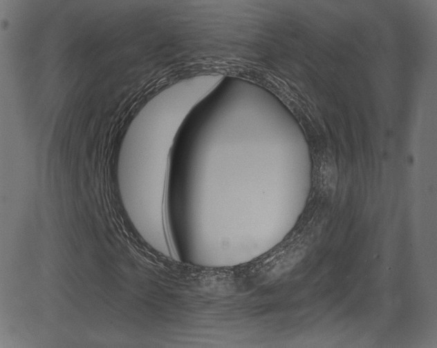 X0000081480865200701121039